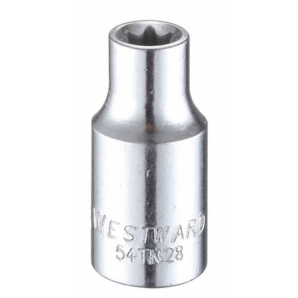 Westward 1/4 in Drive Torx(R) Socket SAE E-6 Tip, 1 13/16 in L - 54TN28