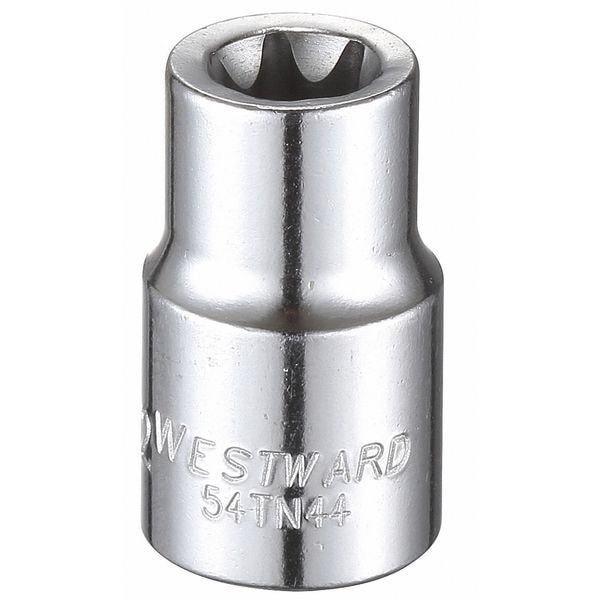 Westward 3/8 in Drive Torx(R) Socket SAE E-12 Tip, 1 1/4 in L - 54TN44