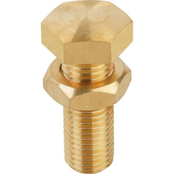 Kipp Rest Pad M16X45, H=55, Sw=24, Brass Bright - K0307.16155