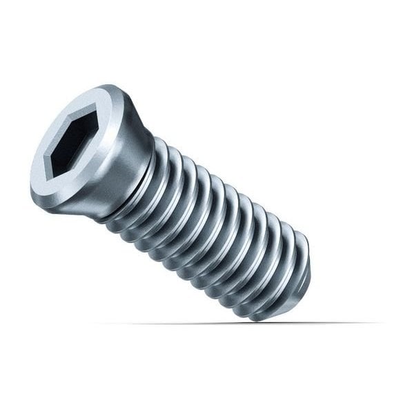 Fein Screws, Steel, 4 3/4" L, 3/16" W, PK10 - 31350076000