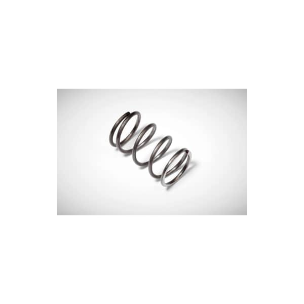 Walter Springs for Indexables 3421 105-032 - 3421 105-032