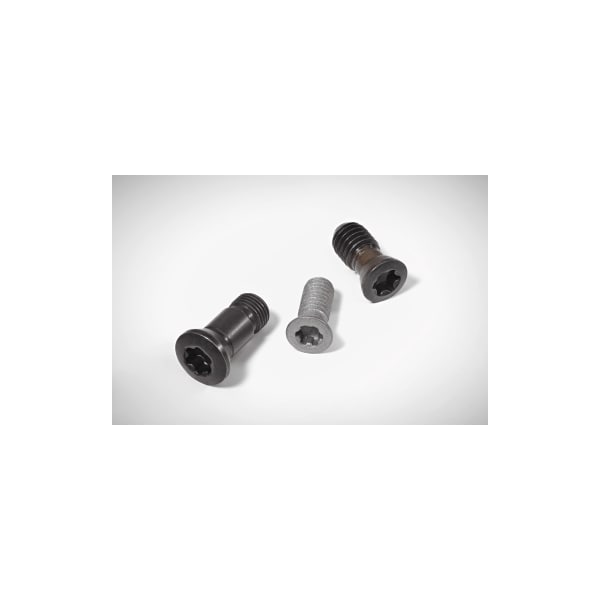 Walter Screw for Indexable Insert FS1342 Unit of Measure - Metric - FS1342