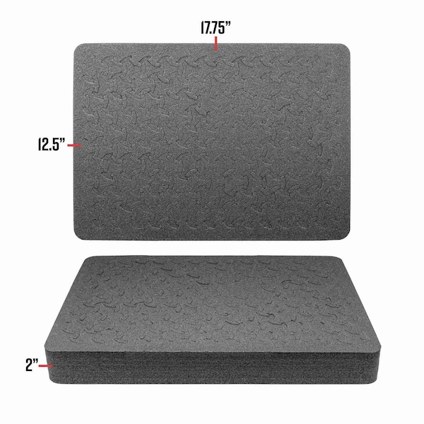 Eylar 20in Large Hard Case Equipped With Ragar Reconfigurable & Reusable XP Crosslinked Foam Insert - SA00002-BLK-RG-XP