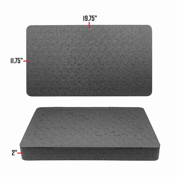 Eylar 22in Carry-On Roller Hard Case With Ragar Reconfigurable & Reusable Crosslinked Foam Insert - SA00034-BLK-RG-XP