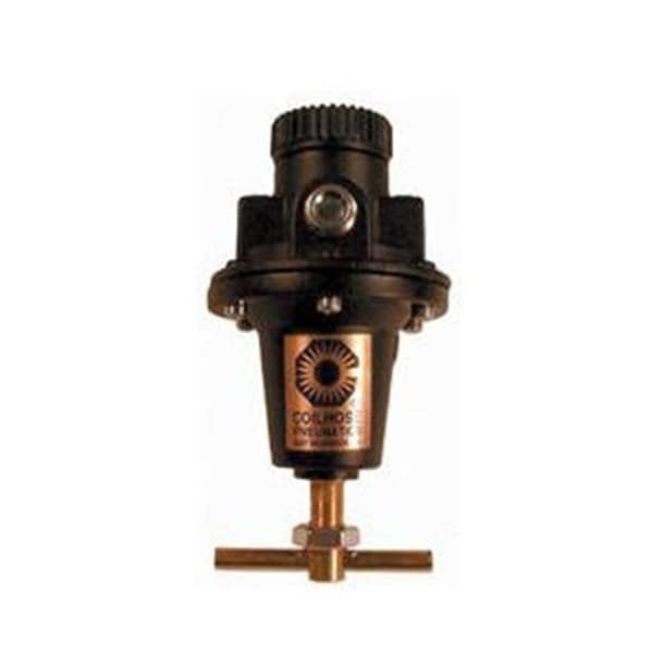 Coilhose Pneumatics Coilhose Pneumatics 166-8802 Heavy Duty Regulator - 166-8802