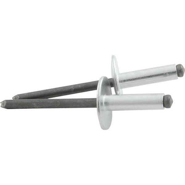Allstar Performance Allstar Performance ALL18147 Large Head Steel Mandrel Rivet; Silver - Pack of 250 - ALL18147