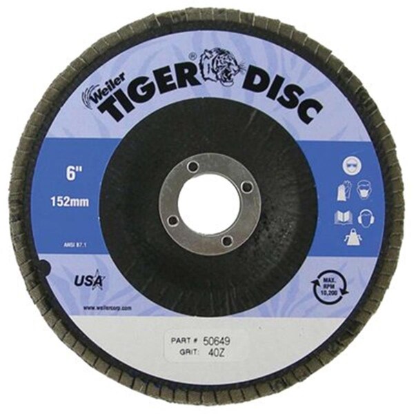 Light House Beauty 6 Inch Diameter 5-8-11 Arbor 60 Grit - LI3683682