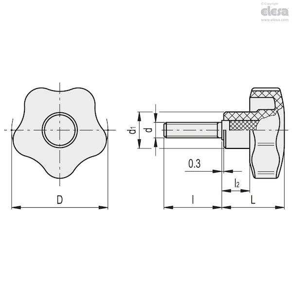 Elesa Stainless steel threaded stud, with cap, VCT.32-SST-p-M6x25-C4 - VCT-SST-P