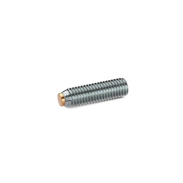 J.W. Winco GN913.5-M10-32-MS Grub Screw Brass Tip - 10N32P69/BRT
