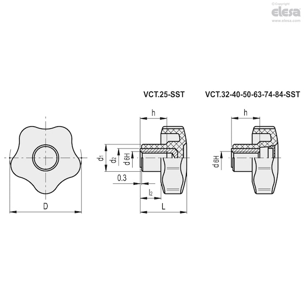 Elesa Stainless steel boss, threaded hole, with cap, VCT.25-SST-M4-C9 - VCT-SST