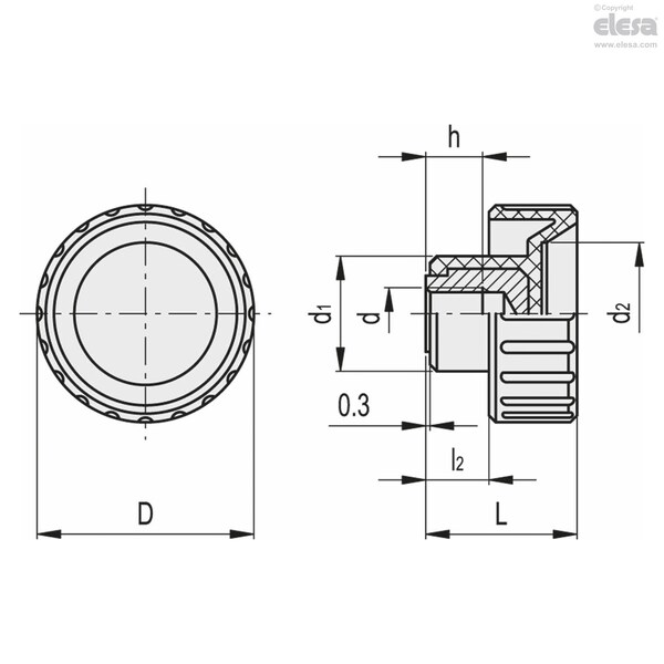 Elesa Brass boss, threaded blind hole, BT.20 B-M5 - BT-B