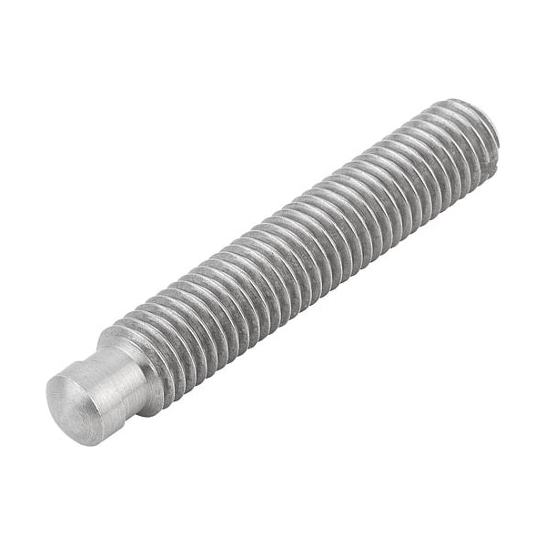 Kipp Grub Screws with thrust point to DIN 6332 - K0390.121X65