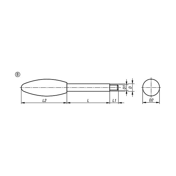 Kipp Gear Levers, Style B, metric - K0179.1714X100